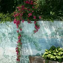 The Secret Garden Tour
