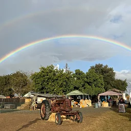 Weekend Vendors