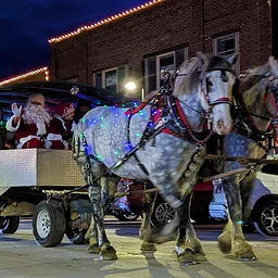 Jingle in the Junction