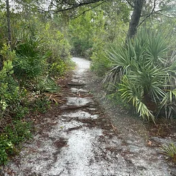 Spruce Bluff Preserve Hike
