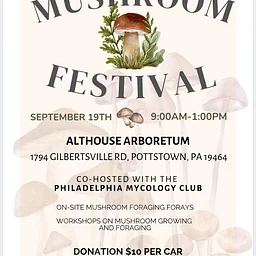 Mushroom Festival