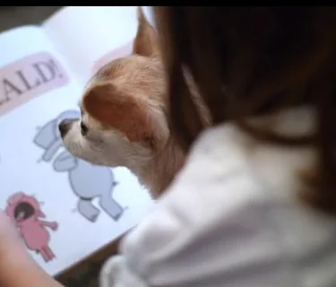 Share-A-Book (San Anselmo)