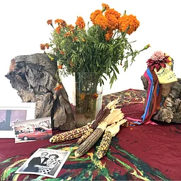 Family Time: Día de Muertos 2026