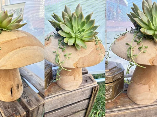 Wooden Mushroom Succulent Arrangement