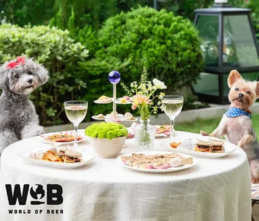 World Of Beer Brunch