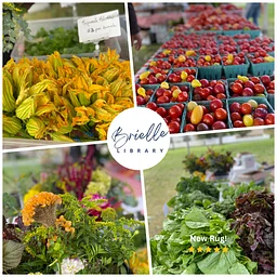 Fall Organic Farm Market