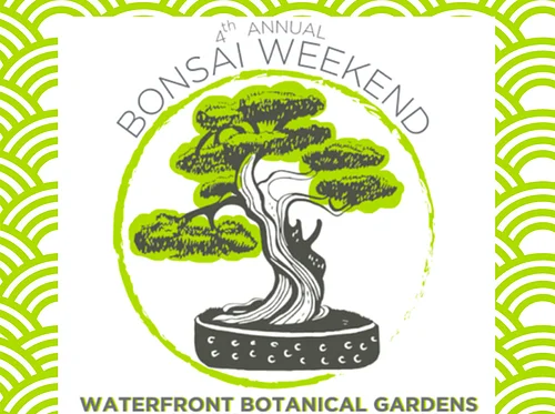Bonsai Weekend