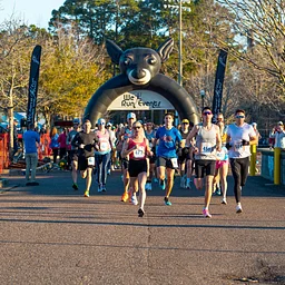 Sweetgrass Half Marathon & 10K