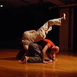 Compositional Awareness in Contact Improvisation Workshop with Andrew Harwood – Register Now!