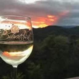 Burntshirt Vineyards