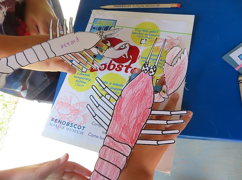 Kids Summer Camp: Week 2
