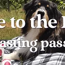 Gone to the Dogs Tasting Pass for Seneca Lake Wine Trail