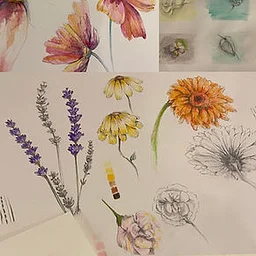 Intro to Floral Sketching