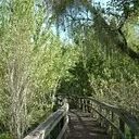 Crowley Museum & Nature Center