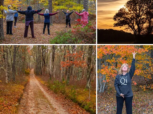 Connecting in Nature through QiGong