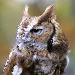 Quogue Wildlife Refuge