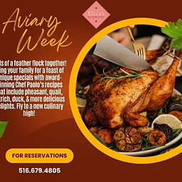 Aviary Week Nov. 18th - Nov. 22nd