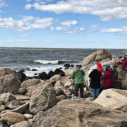 Fall Migration Bird Walk at Hammonasset