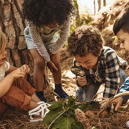 Wild Woods Adventure Afterschool: Sept 16 – 30