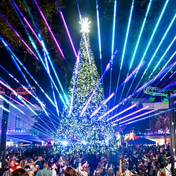 Lights Up Tree Lighting