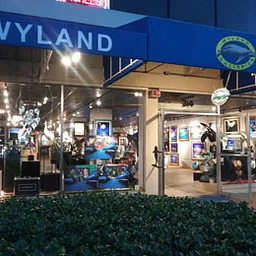 Meet Wyland – at Wyland Galleries Sarasota, Florida