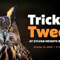 Trick-or-Tweet