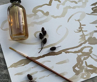 Outdoor Studio: Nature Mandalas & Painting with Plant Inks with Katama Murray & Midcoast Conservancy