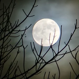 Full Moon Hike