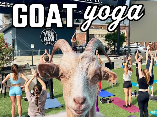 Goat Yoga w/ Jill Davis
