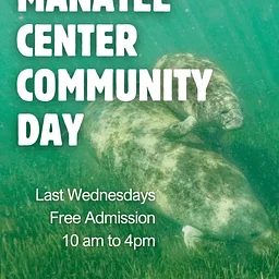 Free Community Day