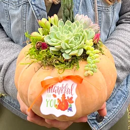Succulent Pumpkin DIY Fall Centerpiece Workshop