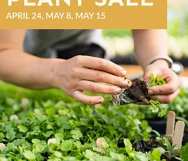 Plant Sale
