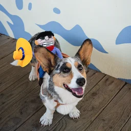 Howl-O-Ween Costume Party for Dogs