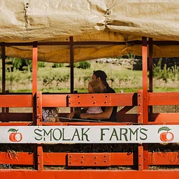 Hop on Hayrides