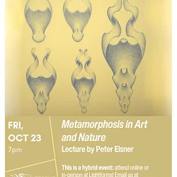 Lecture on Metamorphosis by Peter Elsner (hybrid event)