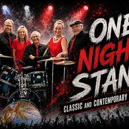 ONE NIGHT STAND