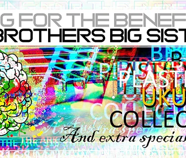 Brain Plasticity Ukulele Collective and Blueshouse