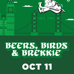 Birds in London
