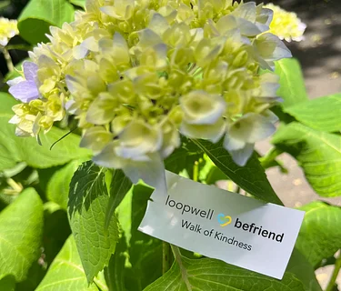 Befriend’s Walk of Kindness