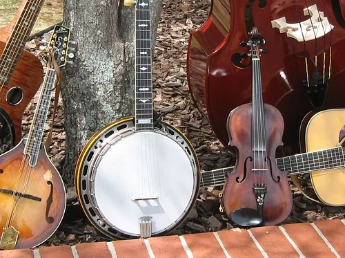 Bluegrass Jam Night !