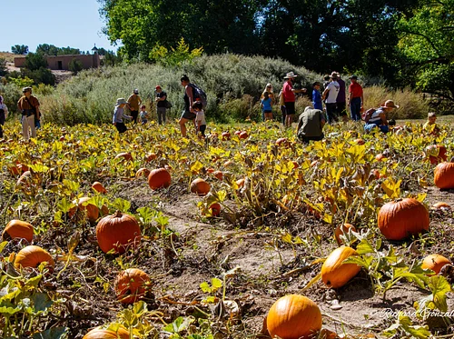 Santa Fe Harvest Festival