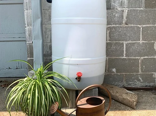 DIY Rain Barrel