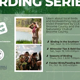 Birding Series: Feeder Birds/Feeding Birds Friday, October 16, 2026 Learn how to identify the common birds visiting your feeder, along with the joys and risks that come with feeding them. We'll also give a brief introduction to native plants that provide food for birds naturally.Hosted in partnership between CCE Broome County, The Naturalists Club of Broome Count... Read more