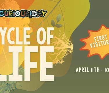 Curiousiday: Cycle of Life