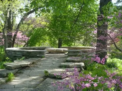 Umemi: Plum Blossom Viewing at the Alfred Caldwell Lily Pool