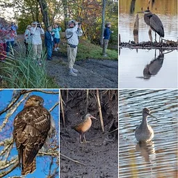 Bird Identification & Natural History Field Class