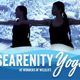 SEArenity Yoga