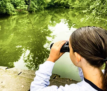 Seasonal Sprouts: Inventive Explorers