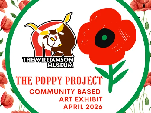 Artist of the Month: The Poppy Project