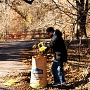 Fall Fix Up